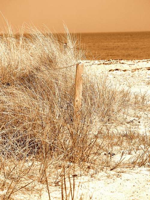 Beach Sand North Sea