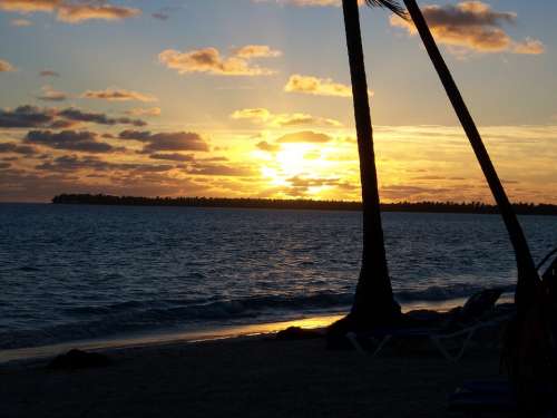 Beach Sunrise Palm Tree Sand Island Caribbean