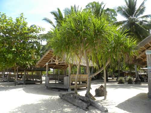 Beach Hut Palm Trees Beach Asia Palms Bamboo