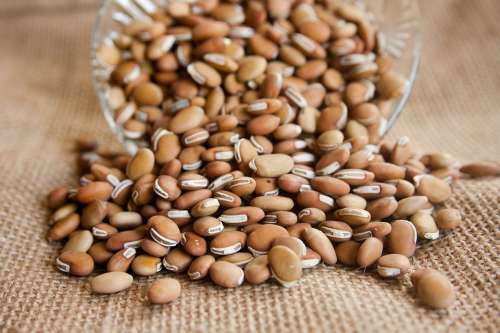 Beans Ingredients Food Brown Healthy Natural