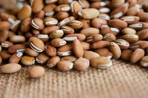 Beans Dry Legumes Pulses Bowl