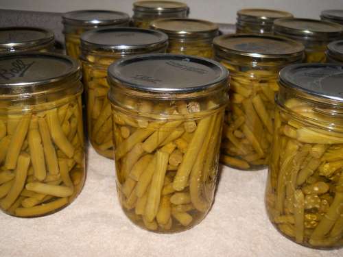 Beans Can Preserved Vegetable Natural Healthy