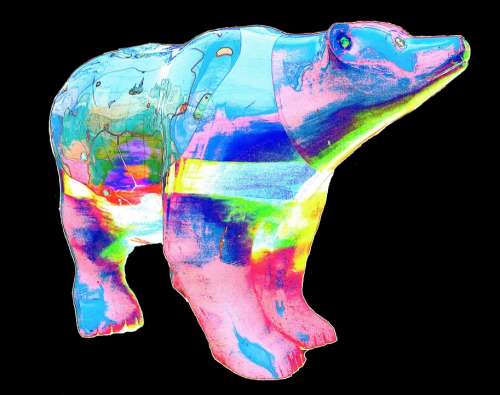 Bear Colorful Abstract Creative