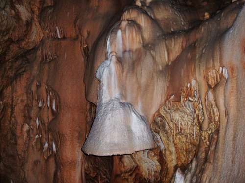 Bear Cave Transylvania