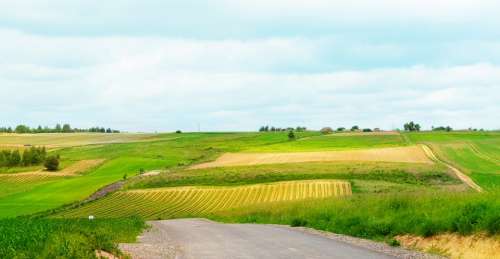 Beautiful Landscape Field Tree Village