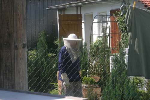 Beekeeper Bees Garden Honey Bees Bee Keeping