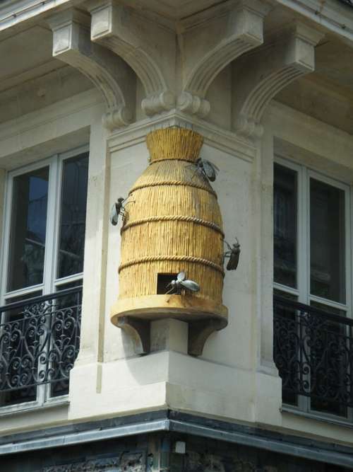 Bees Honey Beekeeping Building Kamienica Sculpture