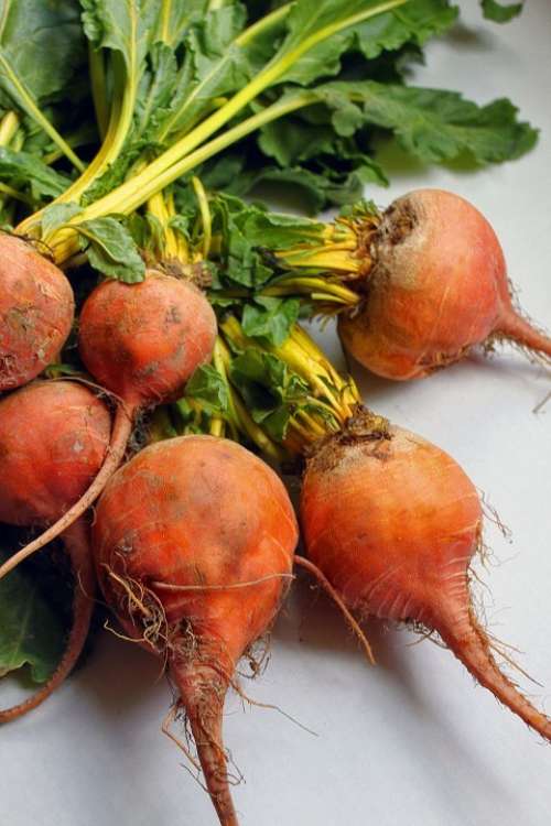 Beets Organic Farmer'S Market Yellow Beets Garden