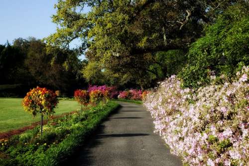 Bellingrath Gardens Alabama Landmark Destinations