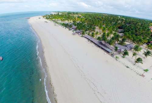 Belt Louis Palm Tree Piauí Beach Beach Sand