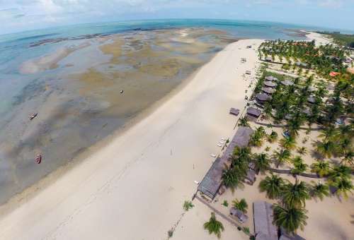 Belt Louis Palm Tree Piauí Beach Beach Sand