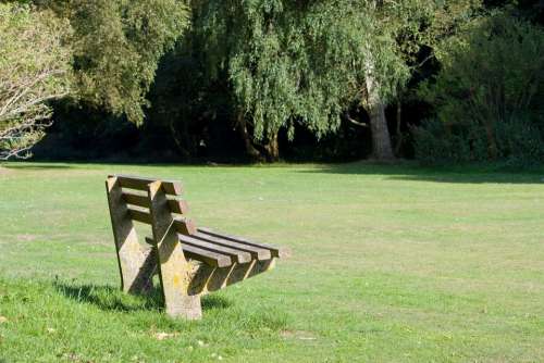 Bench Park Seat Wooden Grass Green Sunlit