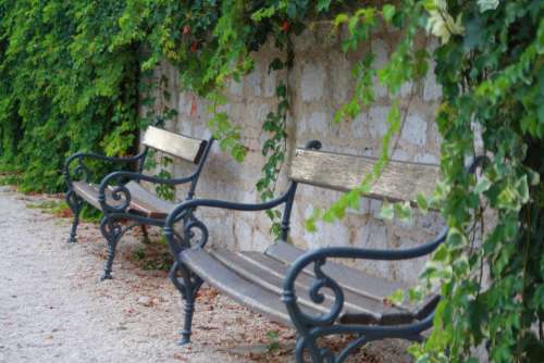 Bench Park Bench City Leaves Green Garden Zadar