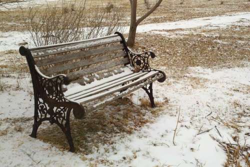 Bench Park Snow Winter Grass Cast Iron Wood Seat