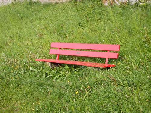 Bench Meadow Grass Seat Bank Nature Rest Spring