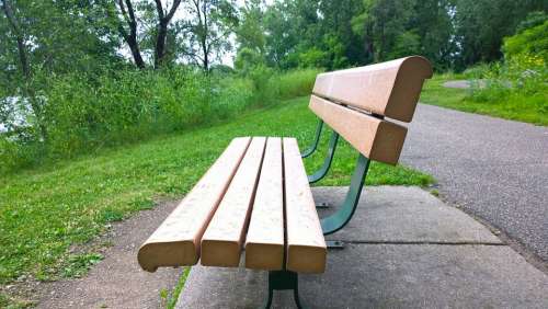 Bench Park Grass Tree Outdoor Peaceful