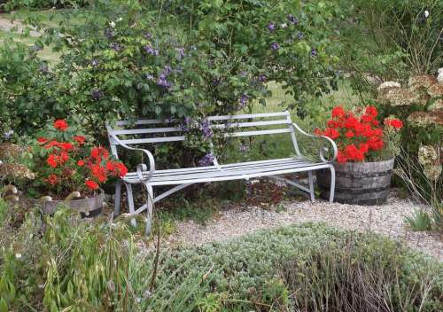 Bench Garden Red Plant Flowers Tranquil Seat