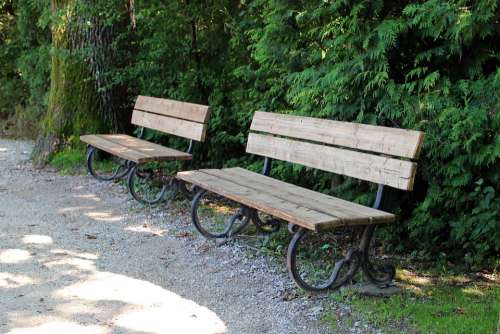 Bench Benches Bank Seat Out Nature