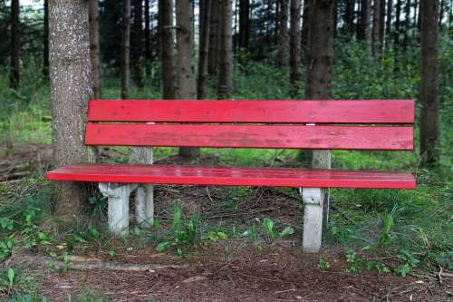 Bench Bank Seat Nature Out Sit Click Rest