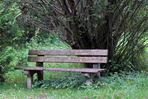 Bench Bank Seat Nature Out Sit Click Rest