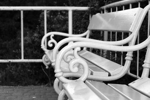 Bench B W Photography Black And White