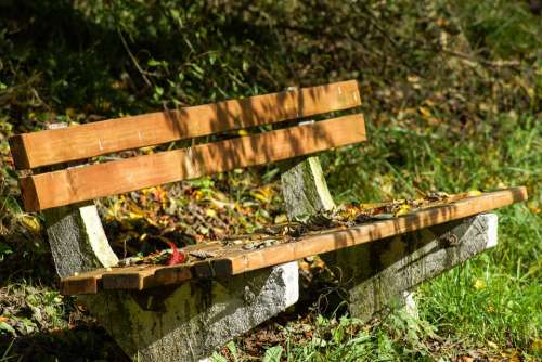 Bench Wood Rest Fall Autumn Leaf Leaves Wooden
