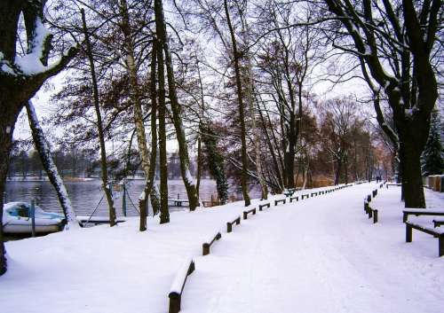 Berlin-Konradshohe Germany Park Winter Snow Trail