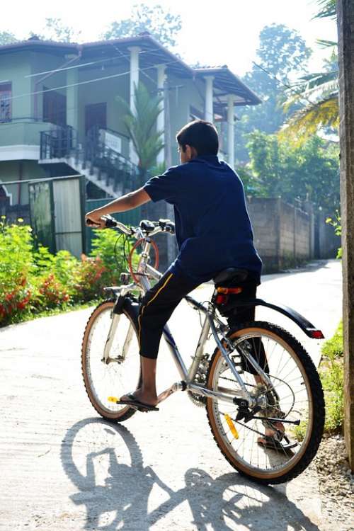 Bicycle Boy Morning Back Light Road Sport