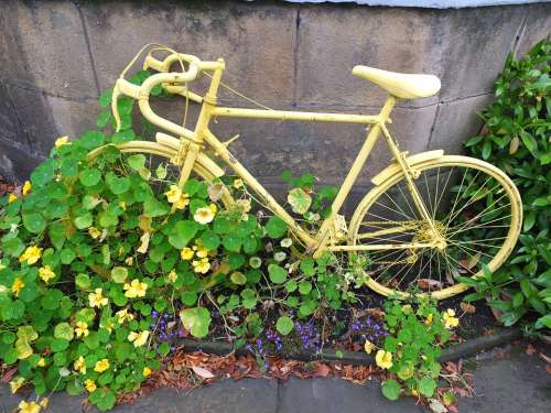Bicycle Yellow Old Wheels Bike Flowers Foliage