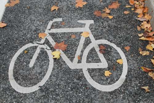 Bicycle Path Bike Autumn Cycle Path Cyclists Wheel