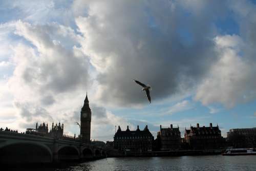 Big Ben Thames Sky London Bird Westminster