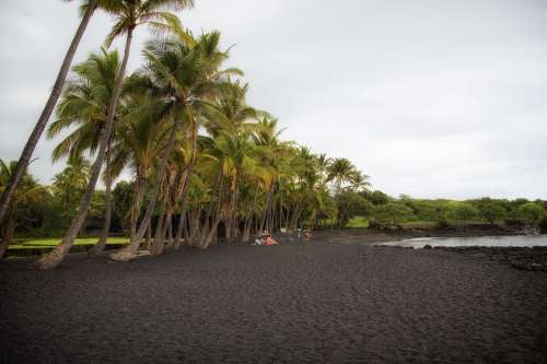Big Island Hawaii Scenic Tropics Tropical