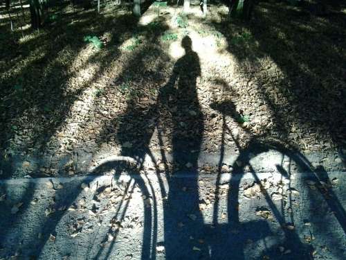 Bike Forest Shadow Character Light Way Horse