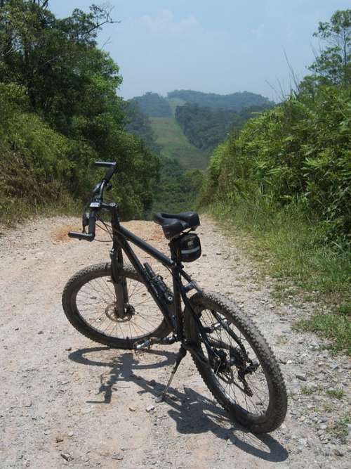 Bike Two Wheels Nature Green Earth Landscape