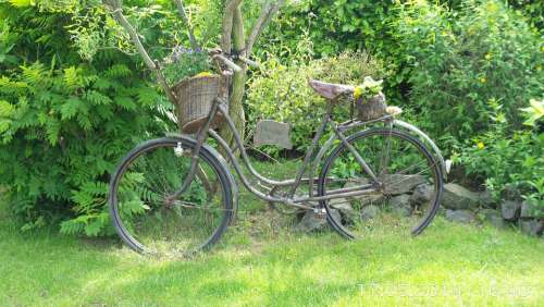 Bike Nature Rest