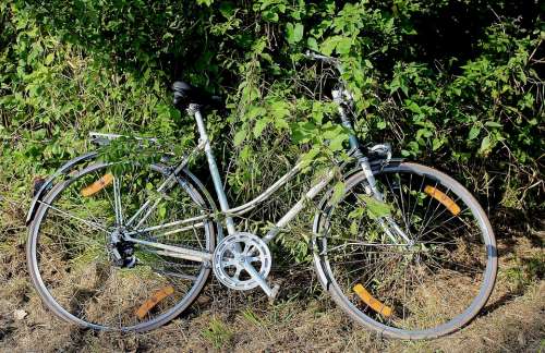 Bike Women'S Bicycle Used Filed Thrown Away