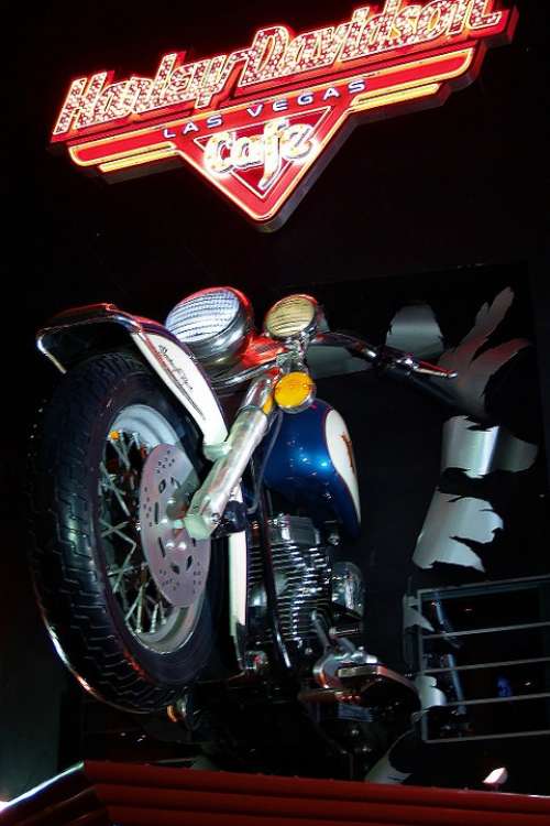 Bike Harley Davidson Advertise Night Neon Lights
