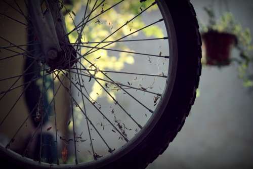Bike Bicycle Wheel Rays Wheels