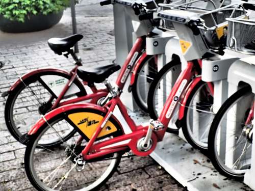 Bike Rental Bike Bicycle Cycle Transport