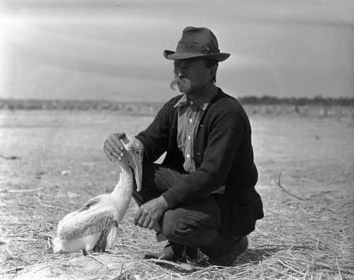 Bird Cowboy As Dressed Man History Vintage