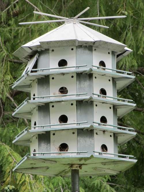 Bird House Bird Condo Hotel Birdhouse Wooden