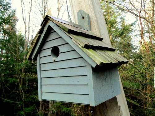 Birdhouse Wood Blue Opening Birds Nesting Pole