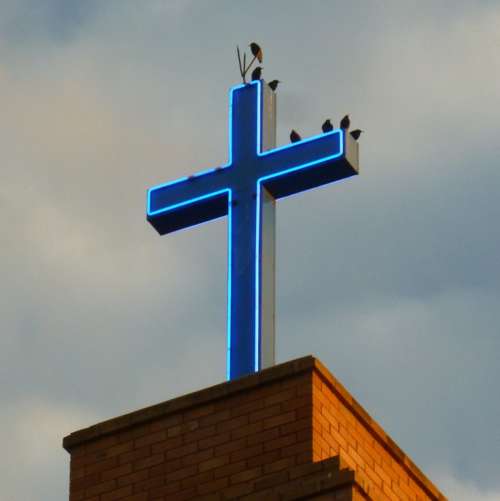 Birds Cross Steeple Church Buildings Christian