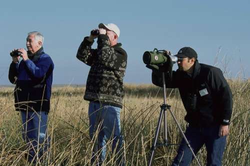 Birdwatching Stand Group Men Male People