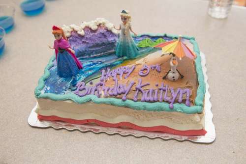 Birthday Cake Frozen Decoration Dessert Party