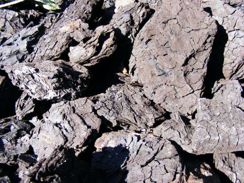 Black Btu Coal Combustible Lignite Mineral