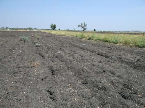 Black Soil Regur Tropical Chernozem Cracked
