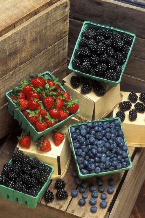 Blackberries Blueberries Strawberries Fruits Plants