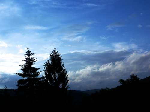 Blue Sky Backlighting Trees Clouds Dramatic Clouds