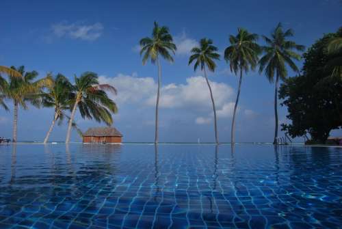 Blue Exotic Island Maldives Ocean Palm Trees